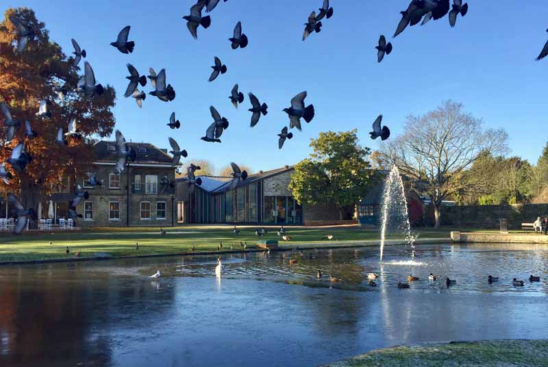 Birds flying over a lake at Heath Robinson Museum